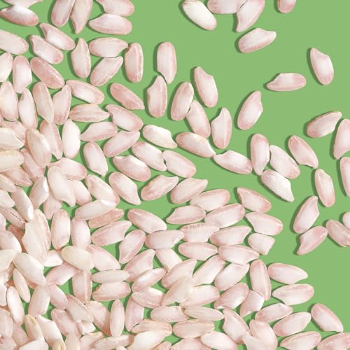 reishunger-bio-risotto-reis-carnaroli-3x600-g image 8